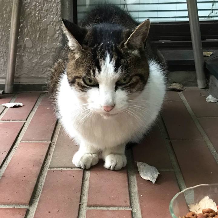 0fa215cd b8d1 4afd 91f0 ac0c940b0c3e 1608355837089