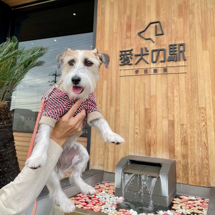 0fa22a28 36b9 48ec 8245 34a1b75701fb 1669670198924