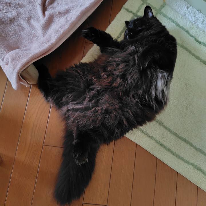 0fa27812 7878 4534 8e4d ad7285a4b70d 1740400368138