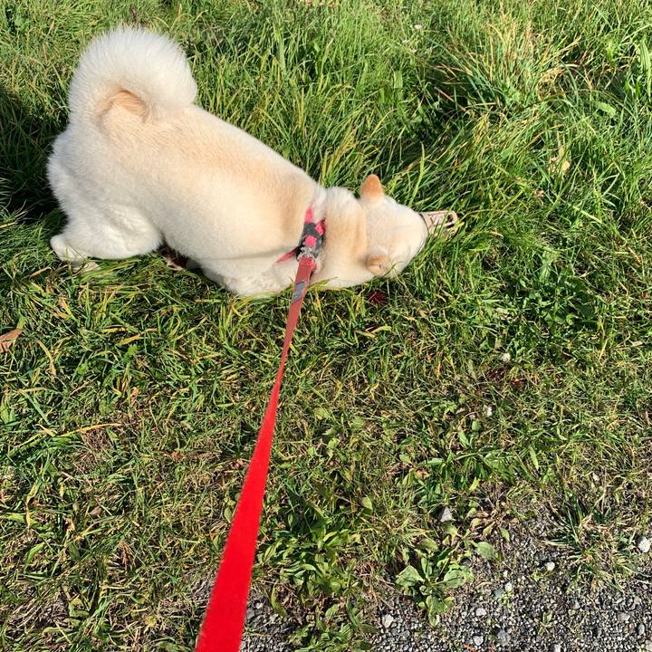 0fa281fc 5aa8 4af3 ab11 0813bea23234 1572492425971