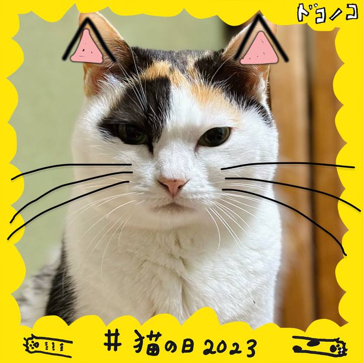 0fa2a26a 4797 4543 8759 8299349a9788 1677030581554