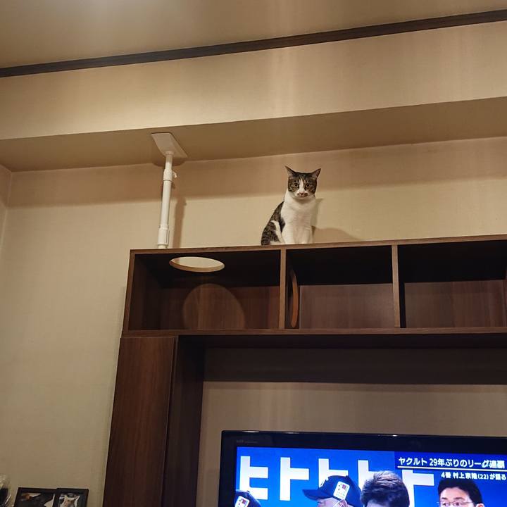 0fa2bc34 1f12 483c bdfd 88d8b3868782 1664201691840