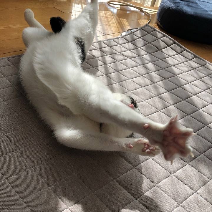 0fa2df1c 1c00 4ff3 b736 1c7f441578c7 1640317557013