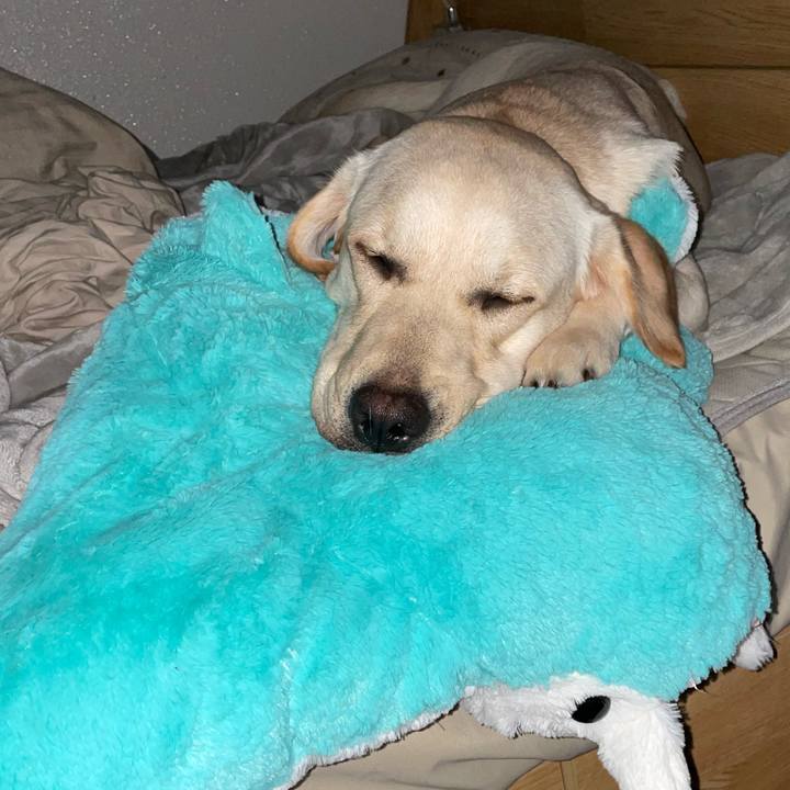 0fa2ee2a 2367 48b5 b590 9d2649b61baf 1642722778279