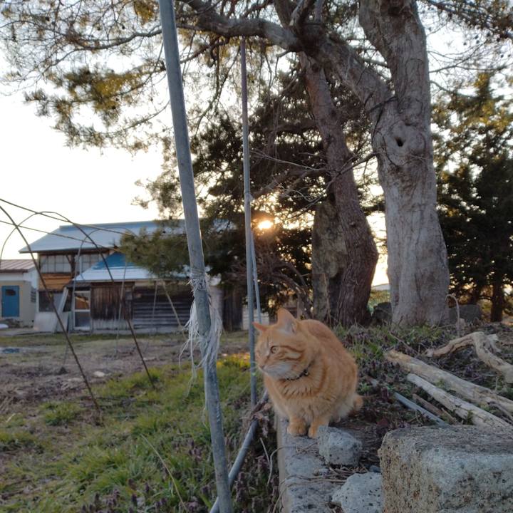 0fa2ffd9 a4c8 4458 b883 7d1a4221dcc1 1679300810254