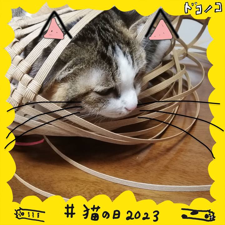 0fa30f5f 587b 455c a310 930d7c5d38d5 1677068538611