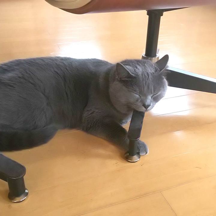 0fa3340b 9fcb 4be6 9210 16ca32fb8cdd 1596768445652