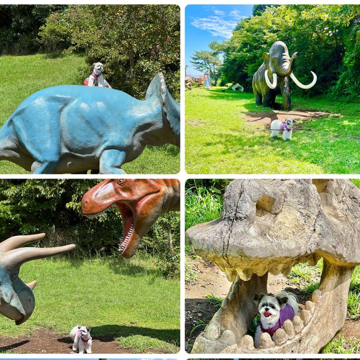 0fa342fa a490 4da4 b8ad 517f0cd36e77 1662885332261