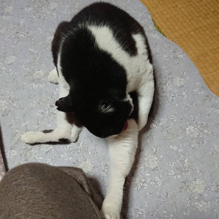 0fa35a6b 2af4 401d 9932 e71c59b22967 1612238885052