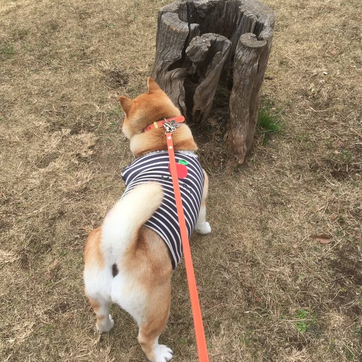 0fa36f4b 5523 4a08 80c4 32c81d459078 1546748922516