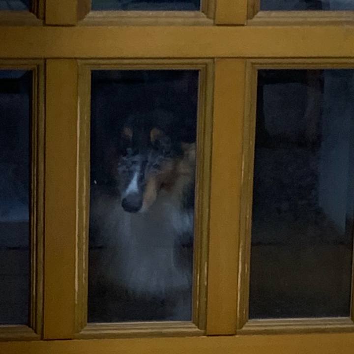 0fa3a961 cdef 4c12 88c8 5079340734d0 1603426296454