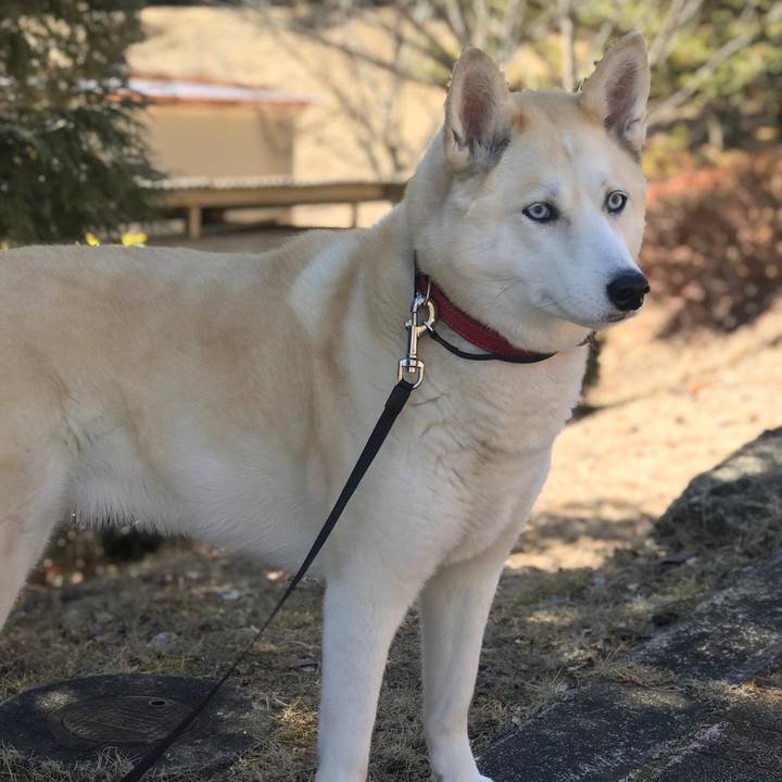 0fa3bdd6 362e 47d7 b4fb 59ff1248e4dd 1645746688153