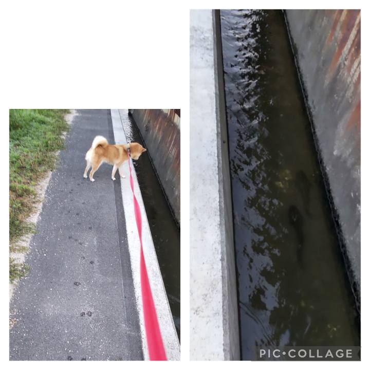 0fa3f048 e14f 44e0 a446 cb1af21755bf 1749070321279