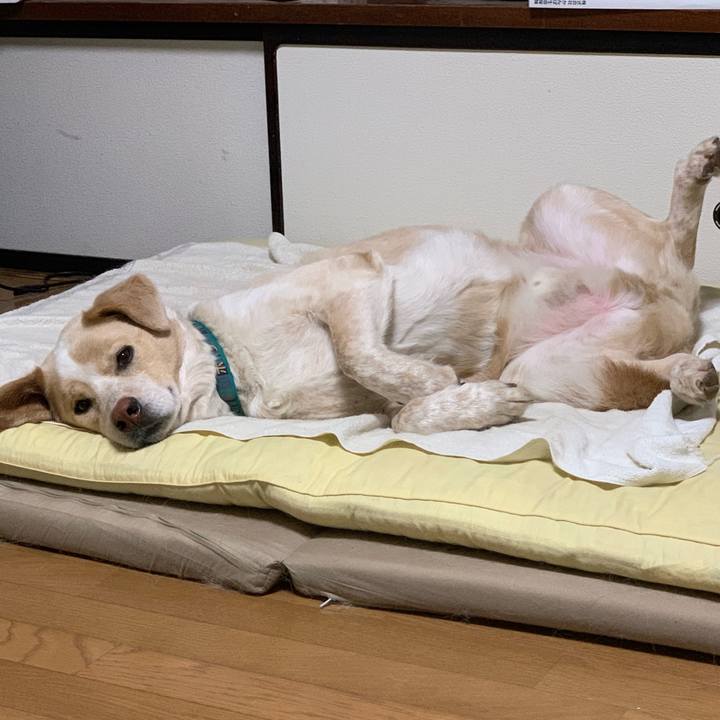 0fa41d04 7c7d 4a78 8d0e afb6d9669f03 1560430713094