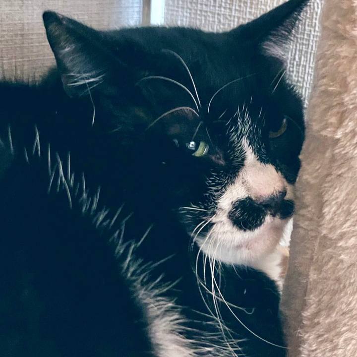 0fa46581 b32e 4457 9a0e 4d724a9ff155 1699073808151