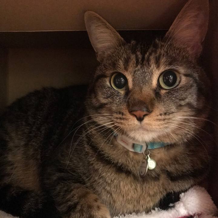 0fa48ae7 7d27 48e8 bf61 a36aa513e029 1560176192608