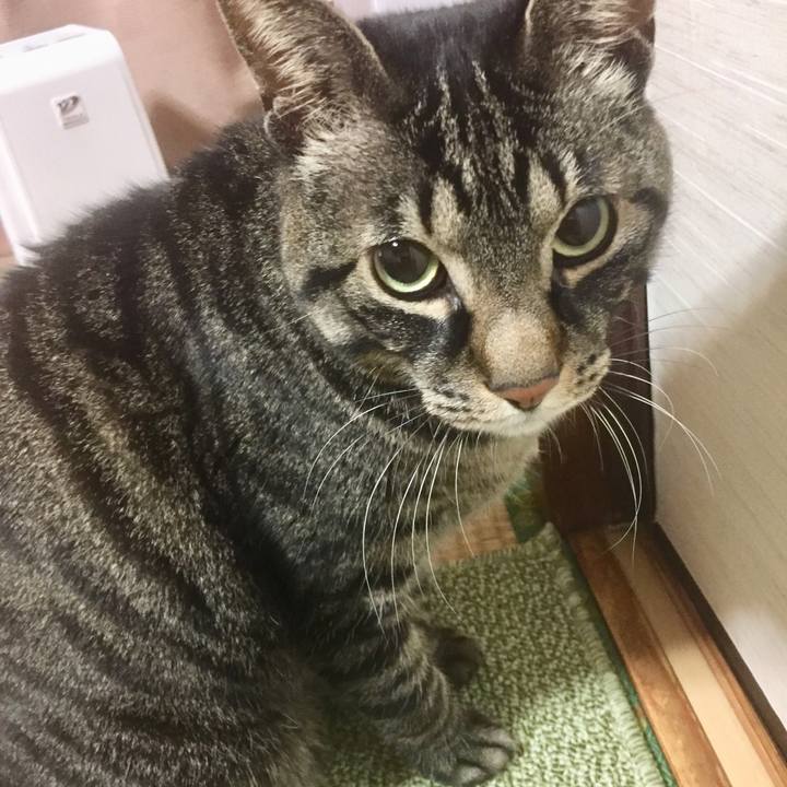 0fa4a7c6 324c 4be8 836a 4dba6d3cb492 1520842403705