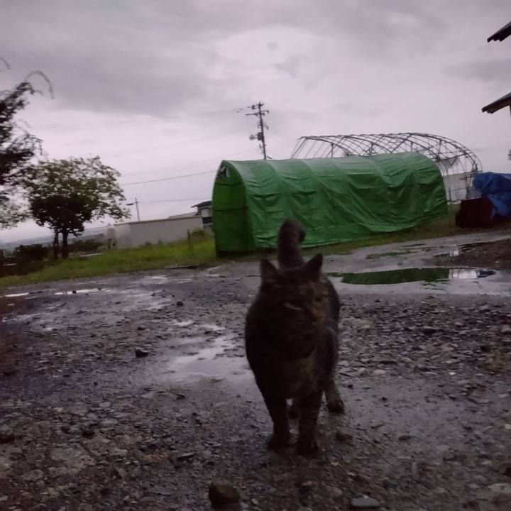 0fa4b7ac 9140 41f5 b2f1 13843bb558b2 1663966359212