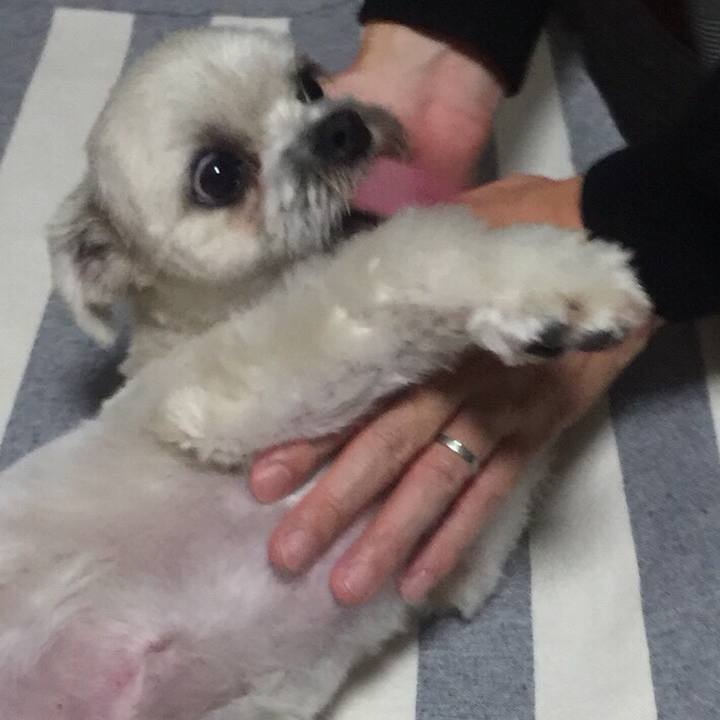 0fa4c2cf f392 4f70 8941 62cb3eda06fc 1538755271647