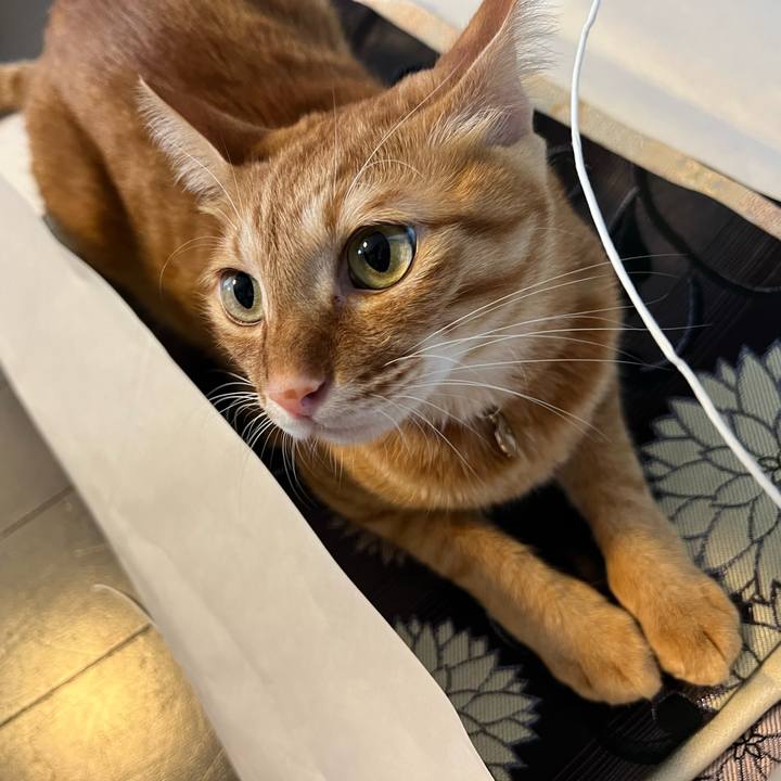 0fa4e3c6 9e0b 4268 baec a7b73a5768e2 1659856541201