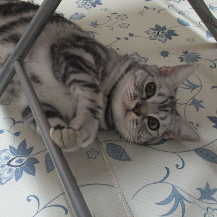 0fa4eb61 c066 4f92 88ad 2e8d186baa1b 1561848493278