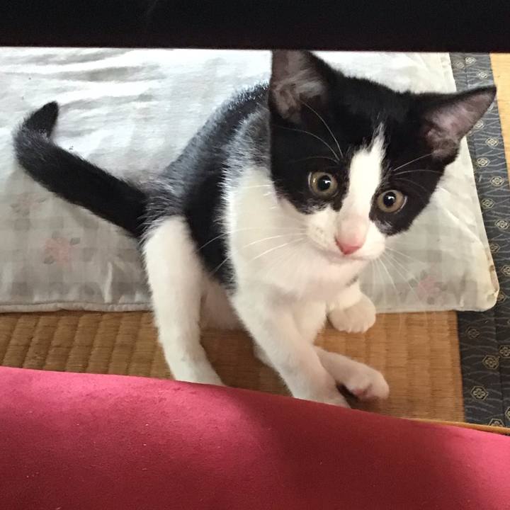 0fa511e6 6867 439c 9c31 674fc7bc6e4e 1625962368603