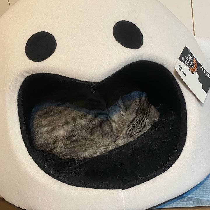 0fa52c2b 511a 4b20 8cfd acdaad3814e8 1735743285334