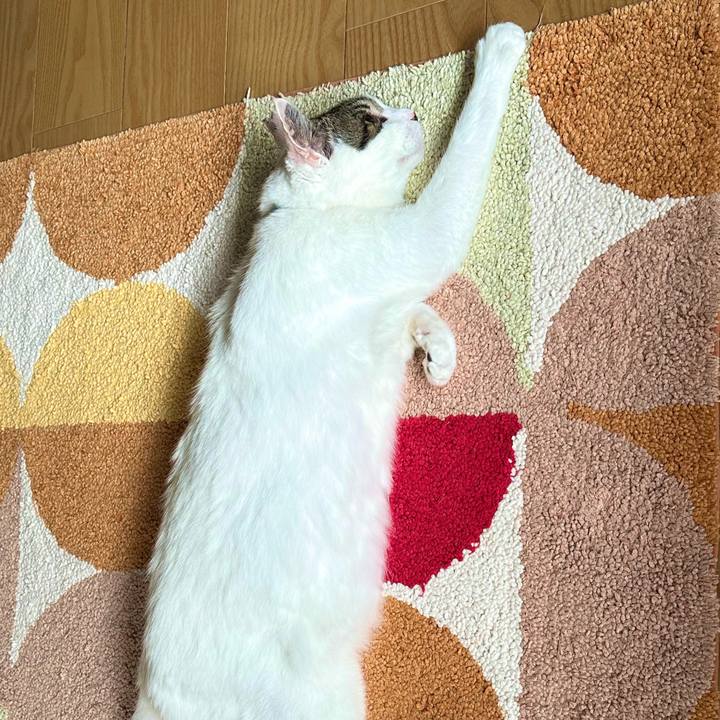 0fa52ead 1a52 4c6e b331 0e252fa19d7f 1687750177740