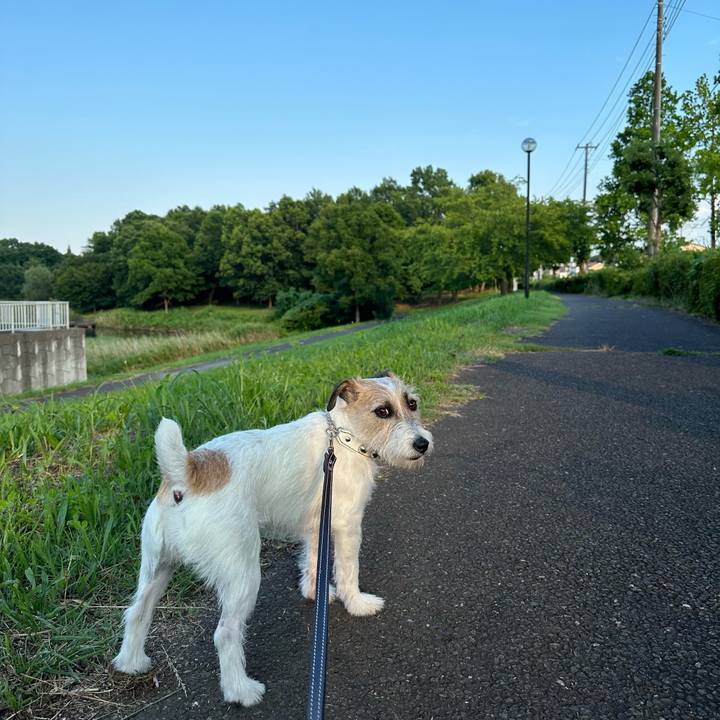 0fa53fef 5be4 4e06 b013 74a29d0fb6ea 1720123785349