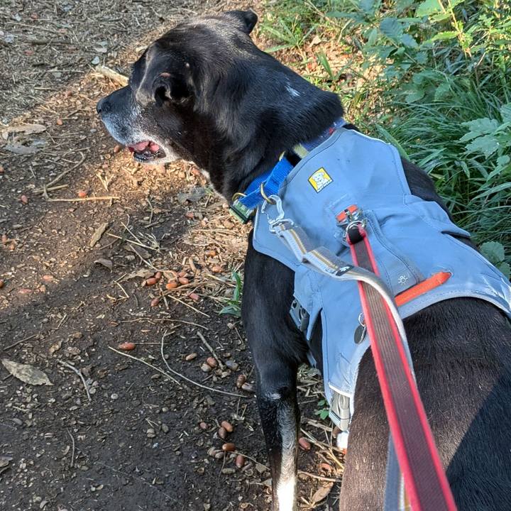 0fa5509a d6f6 49c7 be07 f5f08c6637ac 1728777109250