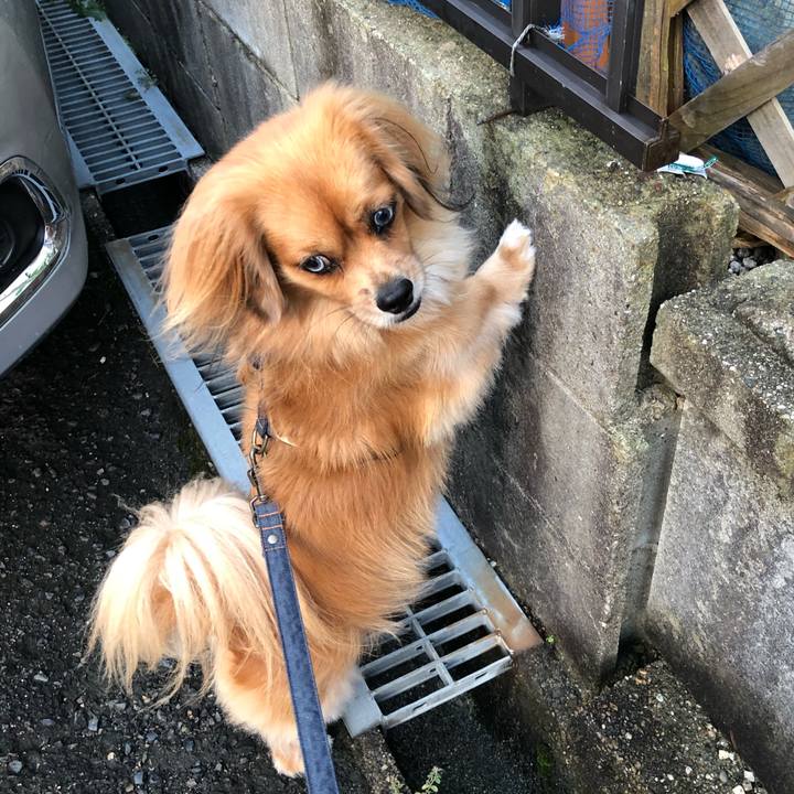 0fa568d1 16ae 45b1 8ba2 48df612b34ea 1569878938473