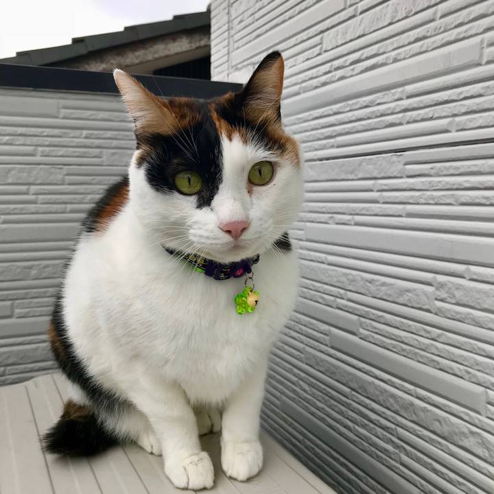 0fa60107 fd68 4339 8373 69053a053d07 1512091777775