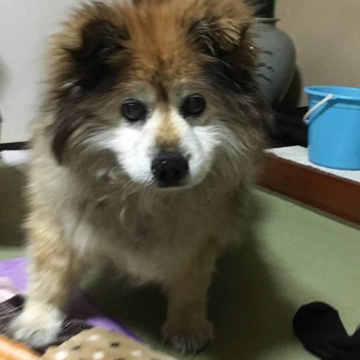 0fa60af5 5300 465b bc9d e011fb0f0461 1603541991739