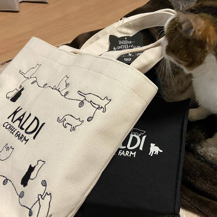 0fa63bc9 b497 4624 bca1 e67813dee687 1582372143241