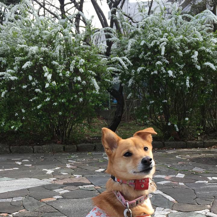 0fa65340 e6f3 406a 8325 7a107a2eae55 1521898568904