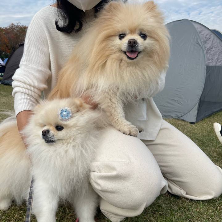 0fa668d6 4558 4e34 bd16 d3b170adae9c 1700743251925