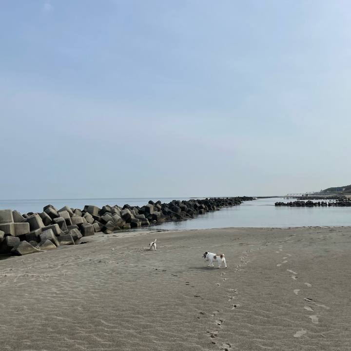 0fa66a9f 3555 408d b21f c33e822bdaa5 1650761706826