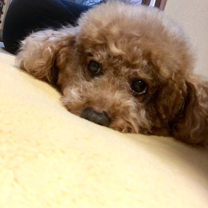 0fa676ef 6f35 4f61 b60b 5db4e4797b3d 1581673056785