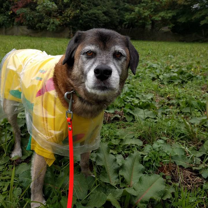 0fa683d1 b845 4069 8aa8 994596e2d0cf 1541724189289