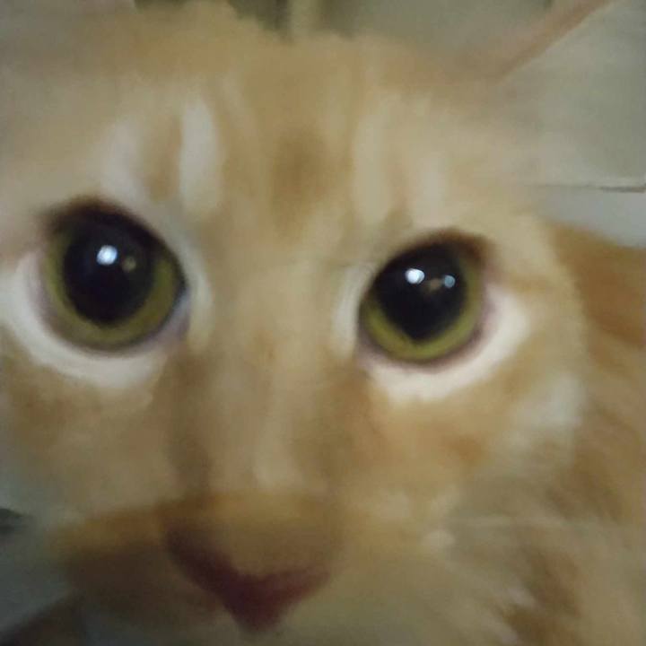 0fa6993a da7e 4a59 87f3 1a2f48f08e2d 1692882212845