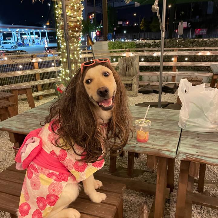 0fa6d8e4 a939 4c48 9c3c 620aca19c18b 1654348736486