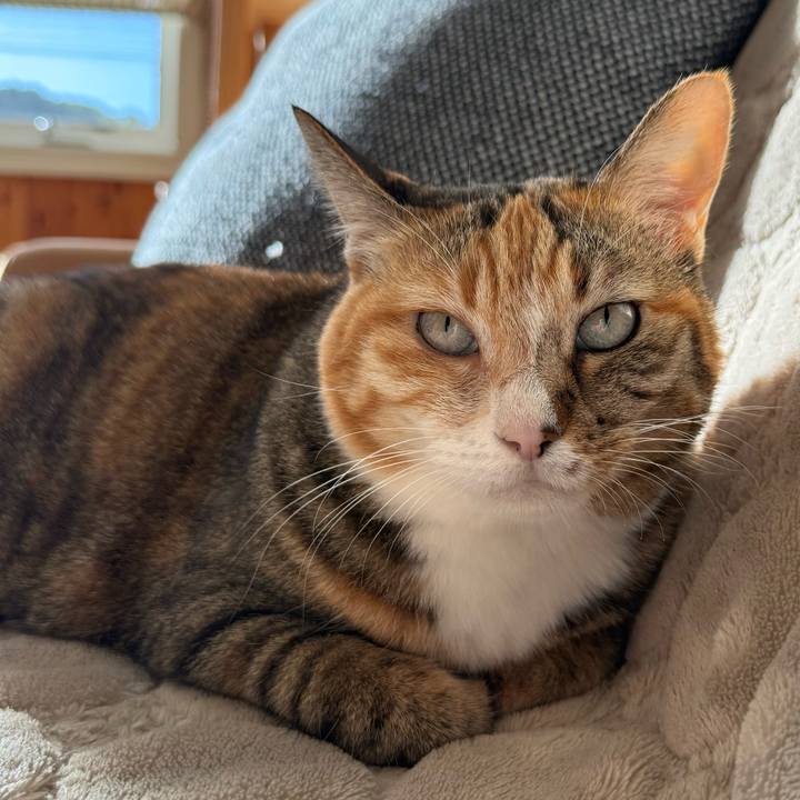 0fa6fd6d 9eae 4bdc 9568 7d24f40bbefd 1761776958853