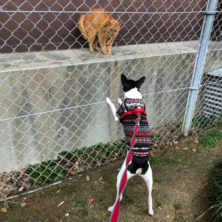 0fa70286 1d9c 4dd7 8795 b2cc2b45efc4 1551391387720