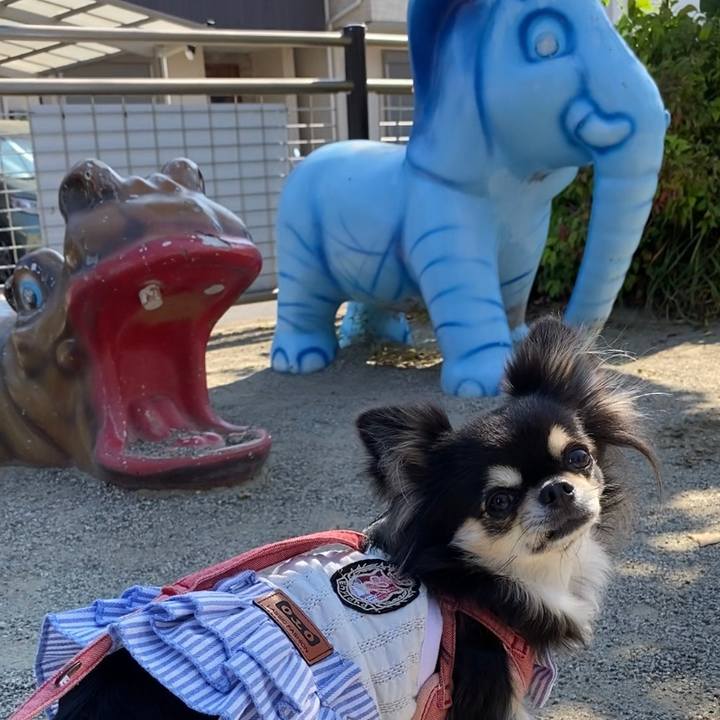 0fa706a2 faa0 4fa6 abbb 160a4bef9374 1623195873155