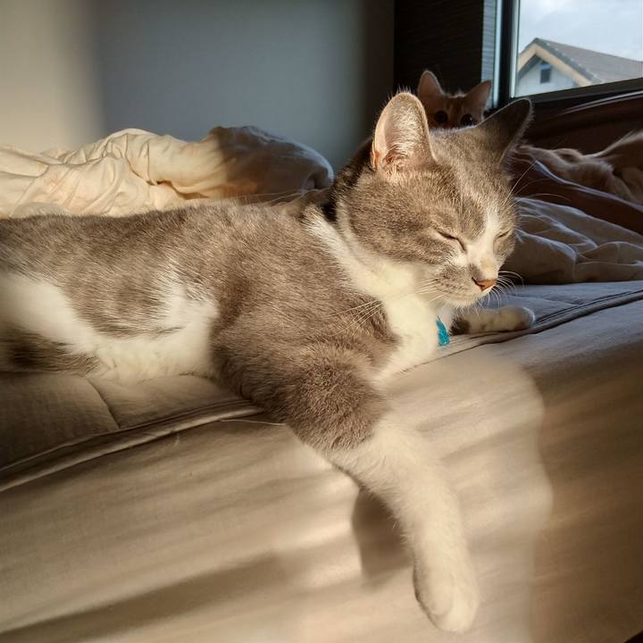 0fa72f30 c51d 4ae2 8a9c 0c9ae09110db 1632782555342