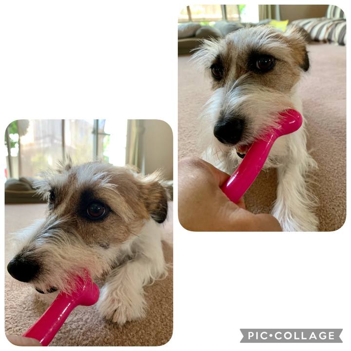 0fa78b16 636b 48db b288 1b7479692247 1627796487627