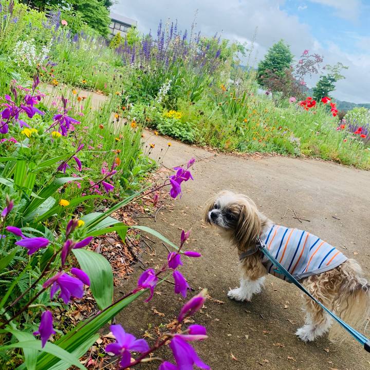 0fa7b199 2177 4ea8 8037 b4f86704bbc3 1749014674435