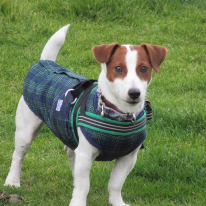 0fa7c0fe 995d 46dc bc82 7c89e196cf36 1548315247207