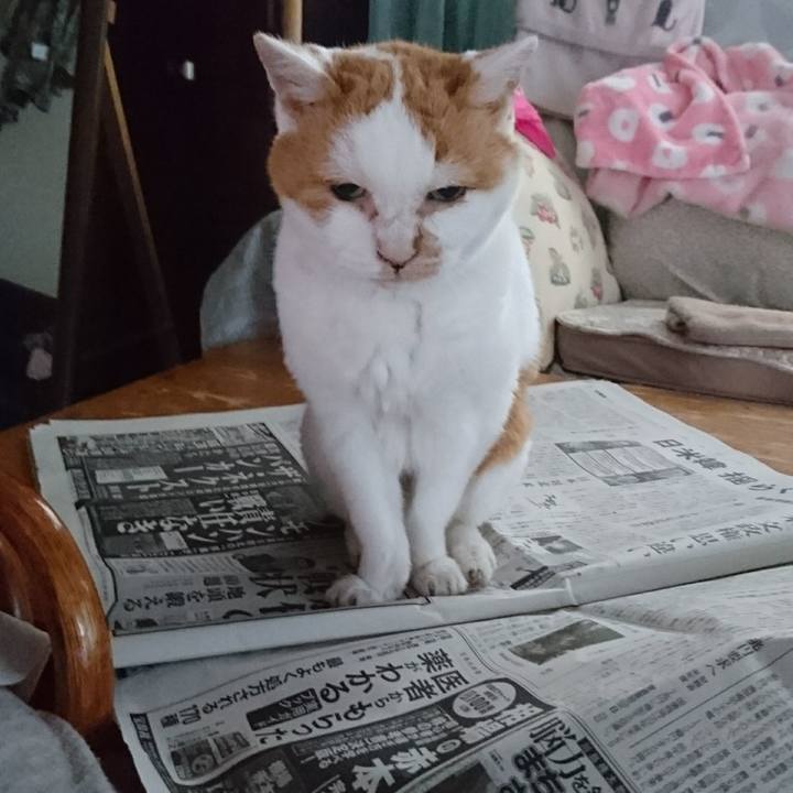 0fa7c18a b740 4852 a4fc fdc8444c9562 1566595085944