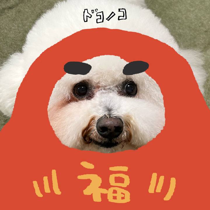 0fa7c31f d5f8 4d02 bee2 2b21a93e791a 1771831864455